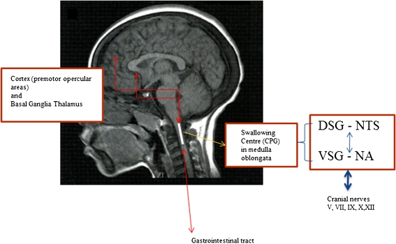 Fig. 1