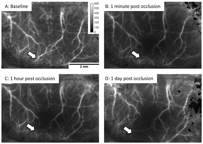 Figure 6