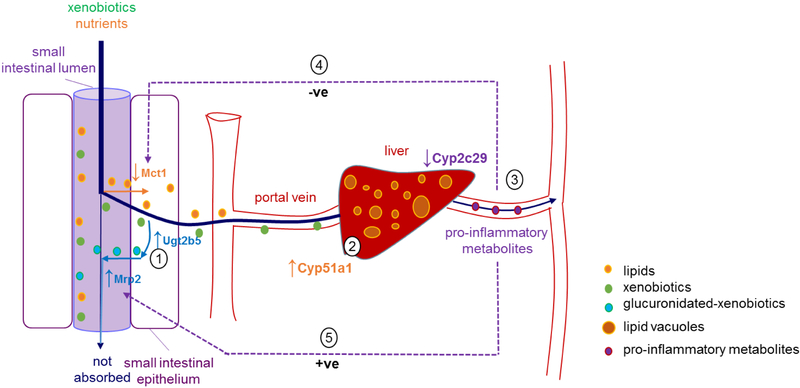 Figure 4.