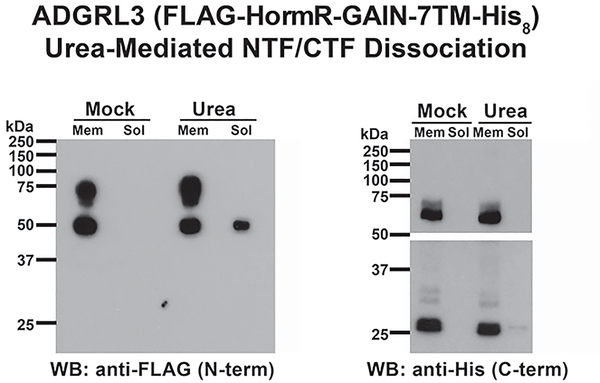 Extended Data Fig. 5