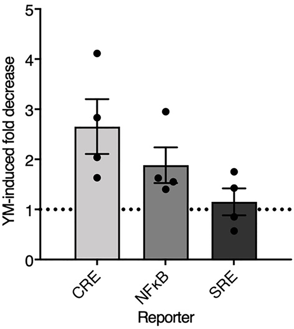 Extended Data Fig. 4