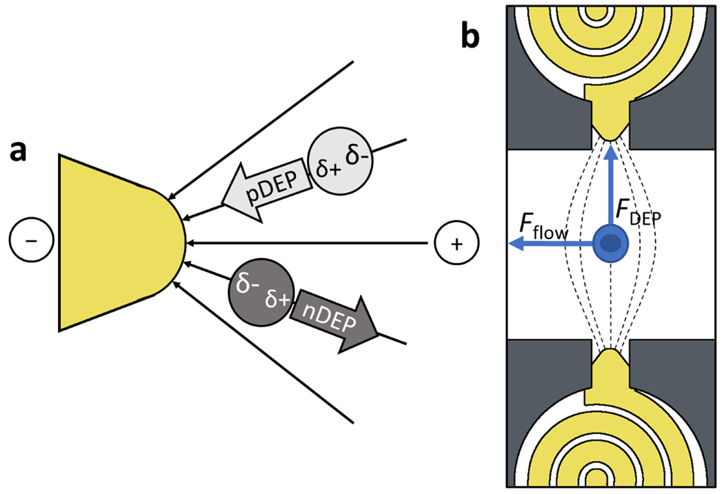 Scheme 2.