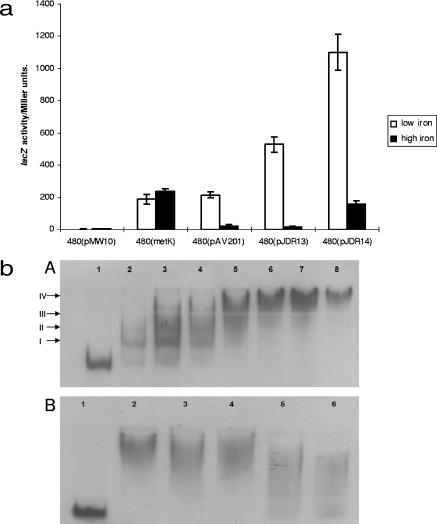 FIG. 4.