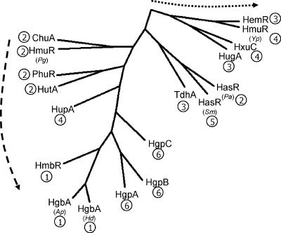 FIG. 6.