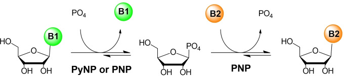 Scheme 1