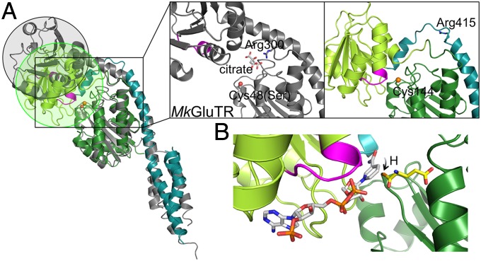 Fig. 2.