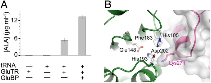 Fig. 4.