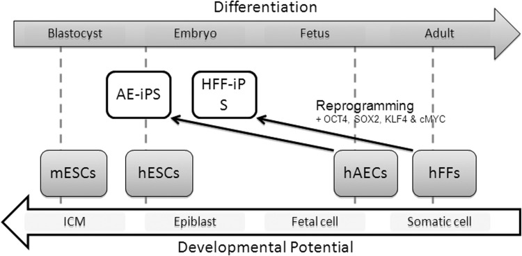 FIG. 6.