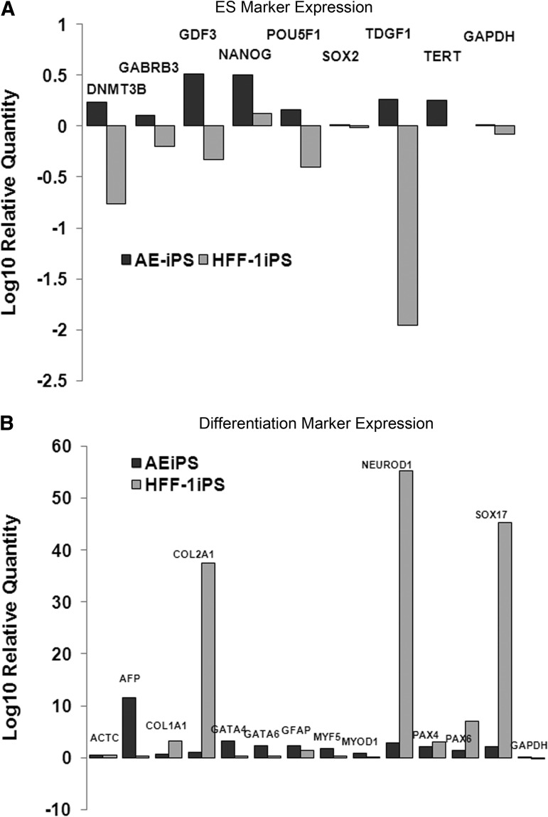 FIG. 3.