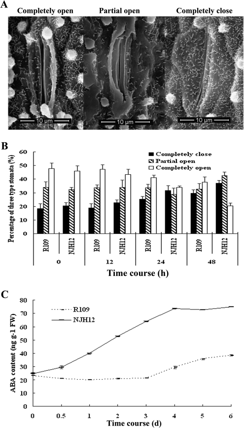 Fig. 2.