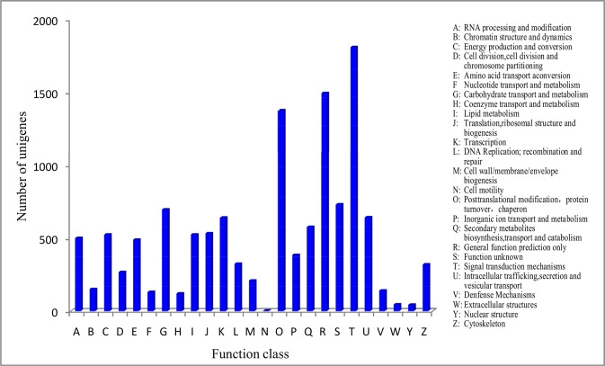 Fig 6