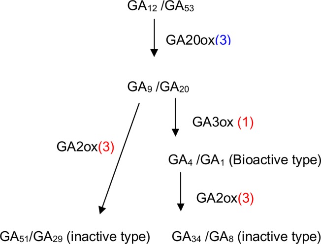 Fig 9