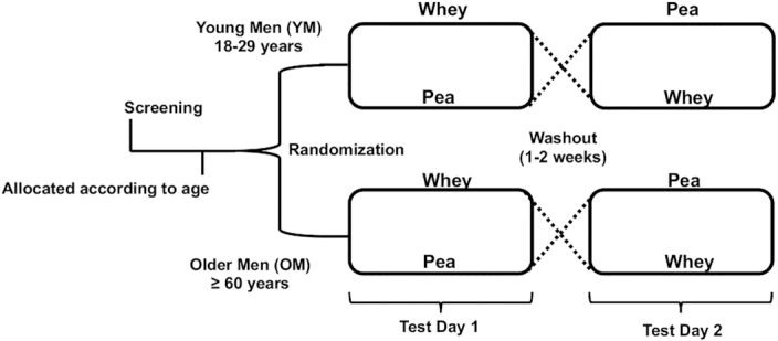 FIGURE 1