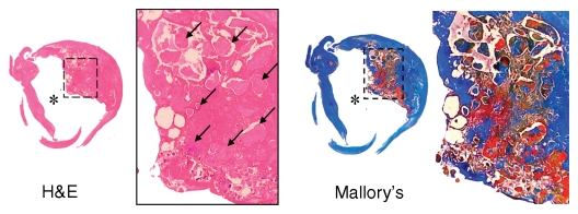 Figure 4d: