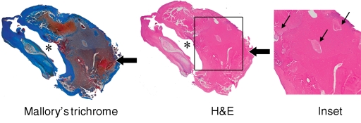 Figure 3d: