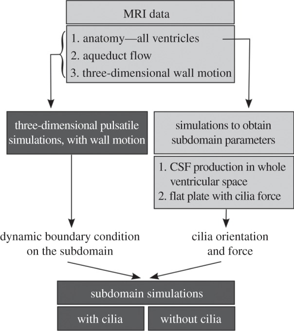 Figure 2.