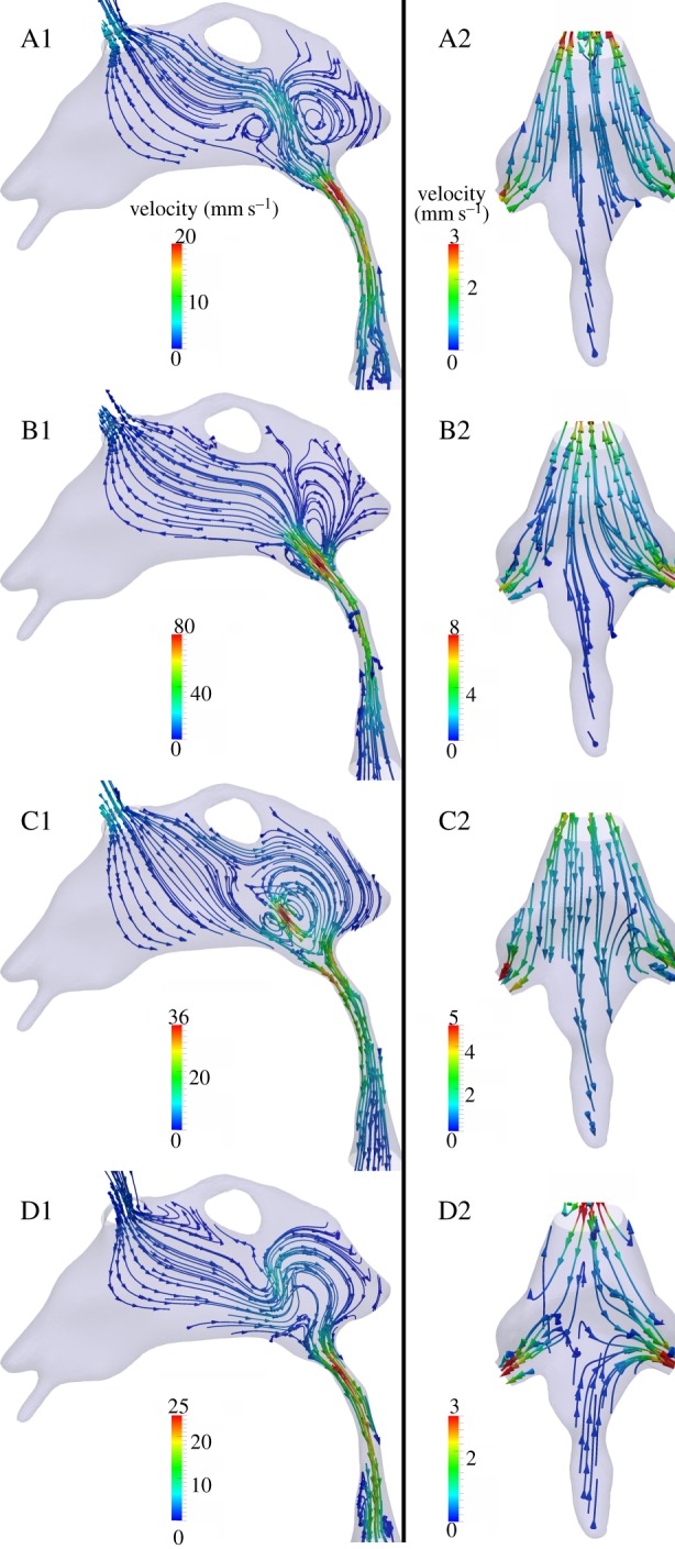 Figure 6.