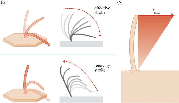 Figure 1.