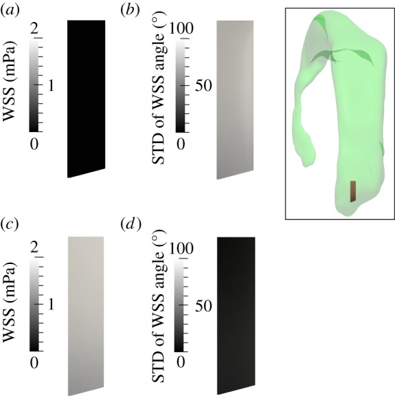 Figure 10.