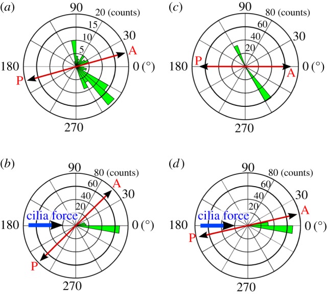 Figure 12.