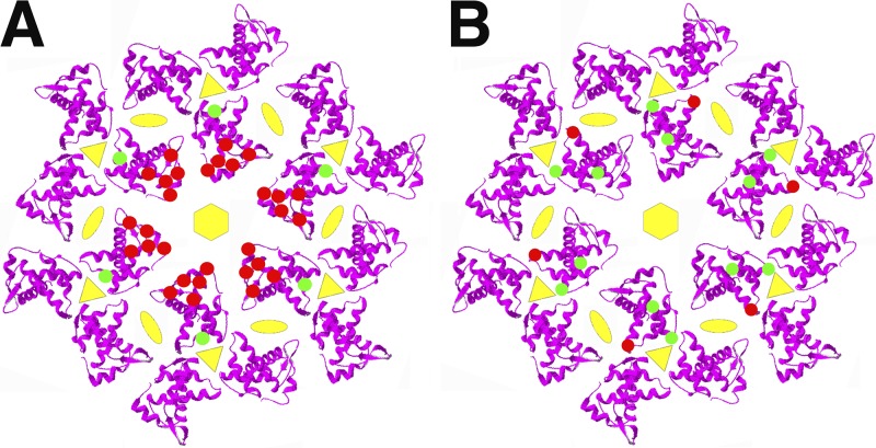 FIG 1