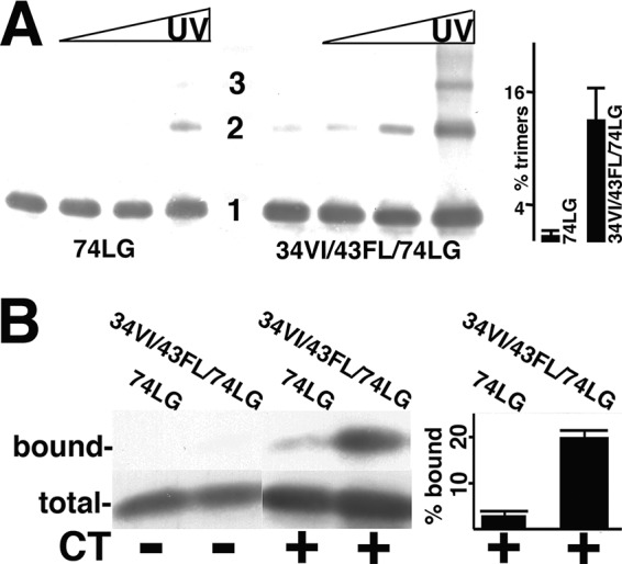 FIG 2