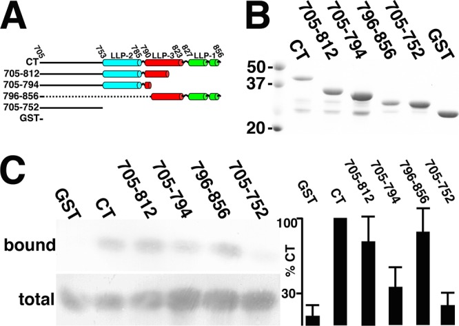 FIG 6