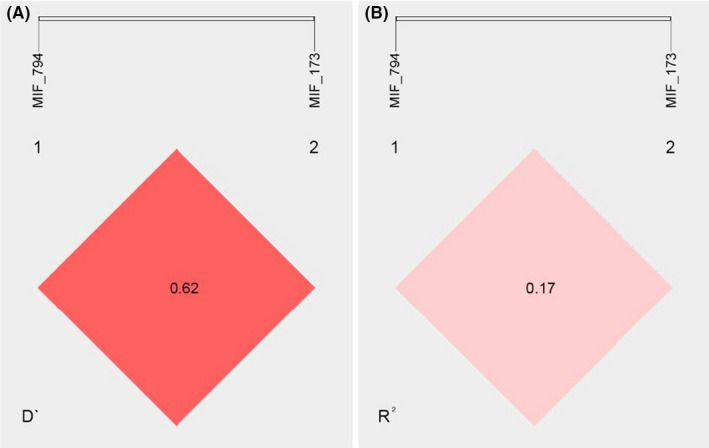 FIGURE 2