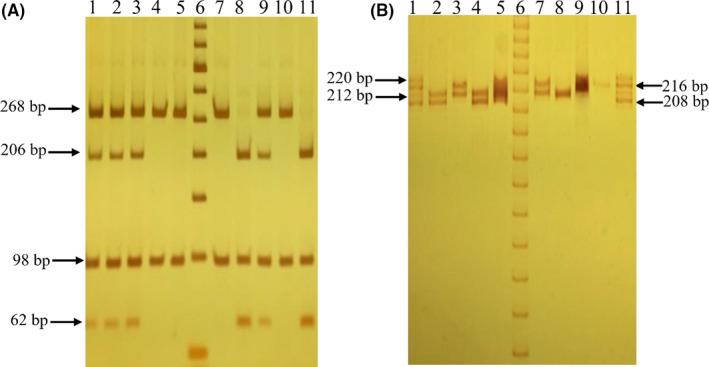 FIGURE 1