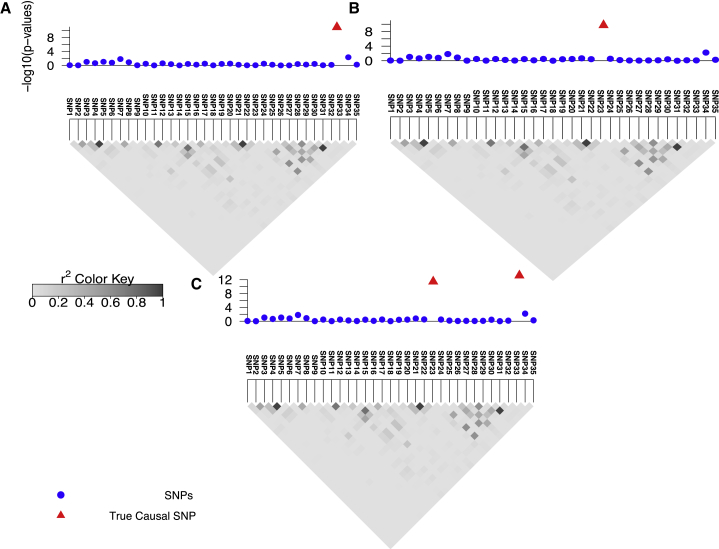 Figure 1