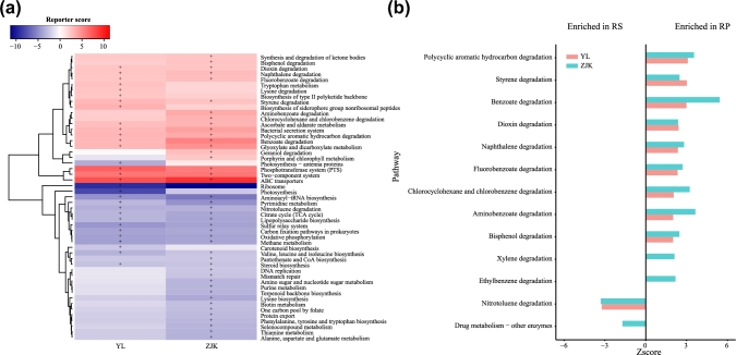 Figure 6: