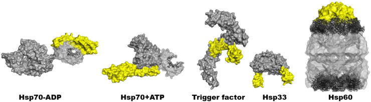 FIG. 1.