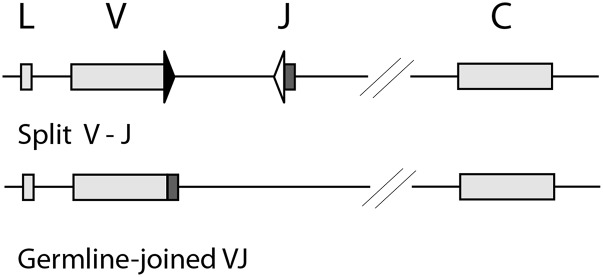 FIGURE 1.