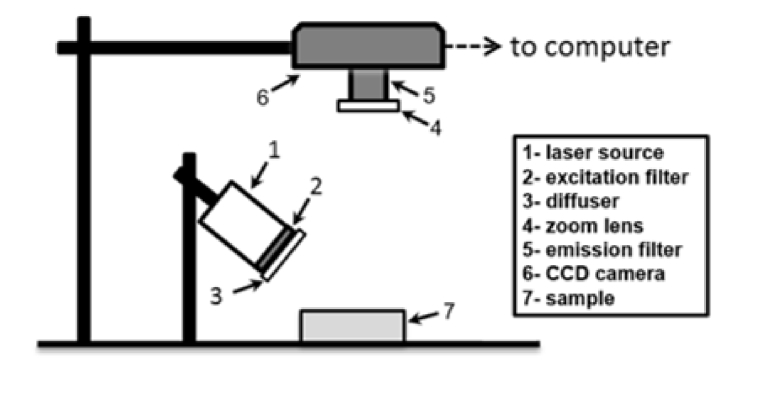 Fig. 5