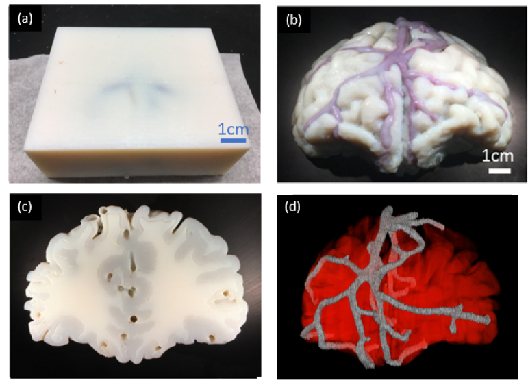 Fig. 7