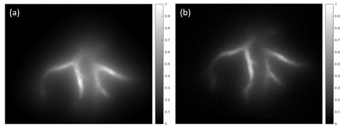 Fig. 9