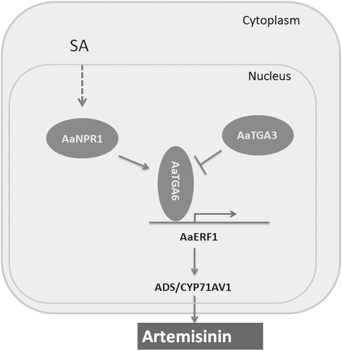 Fig. 8.