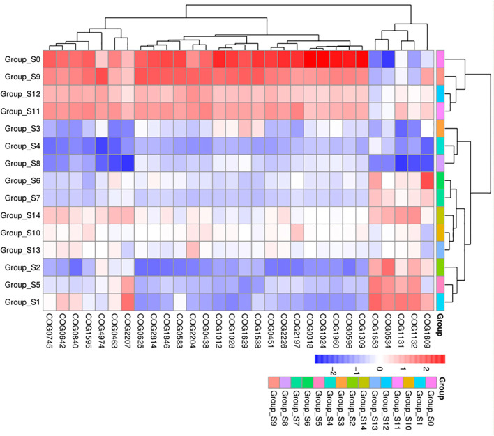 Figure 6