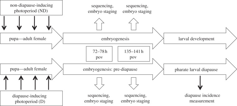 Figure 1.