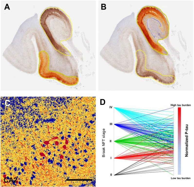 Fig. 3