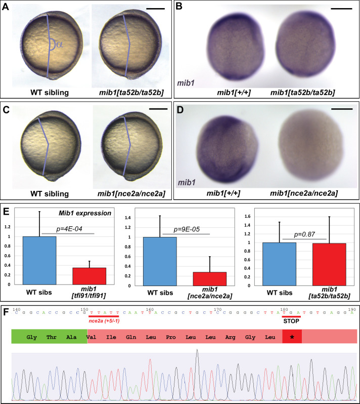 Figure 1—figure supplement 2.