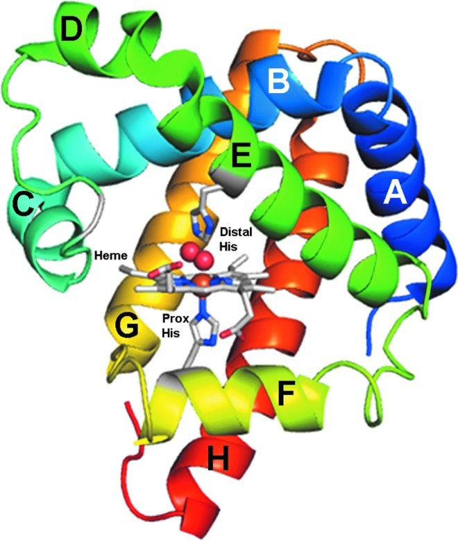 FIG. 1.