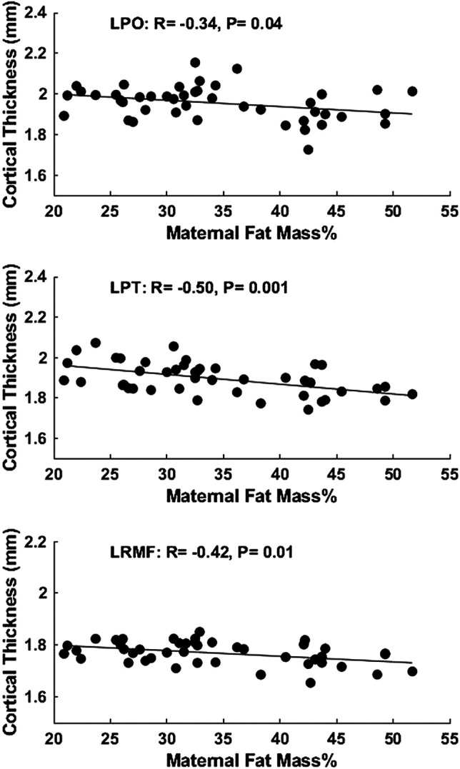 FIG 2.