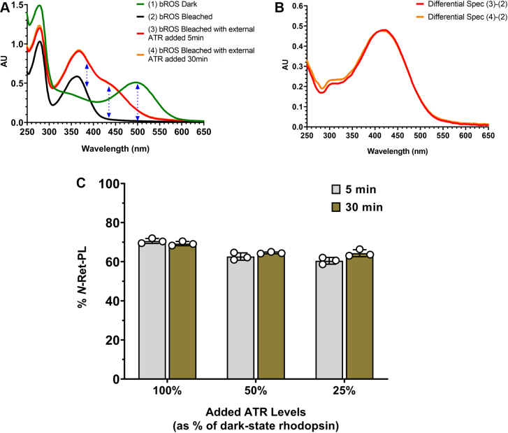 Figure 4