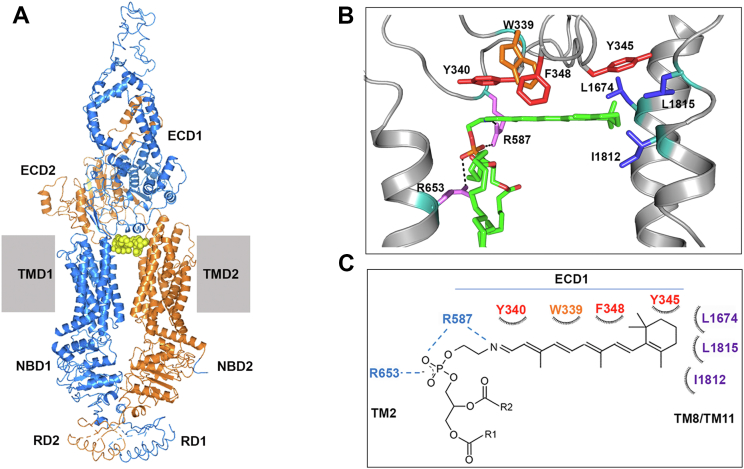 Figure 6