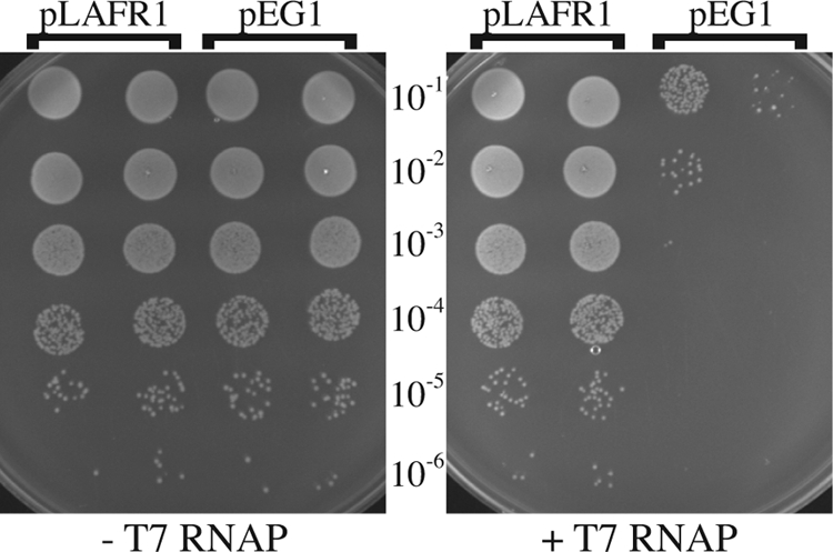 FIG. 4.