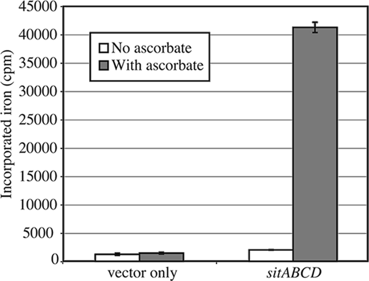 FIG. 1.