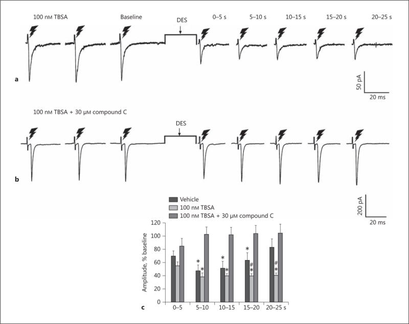 Fig. 11