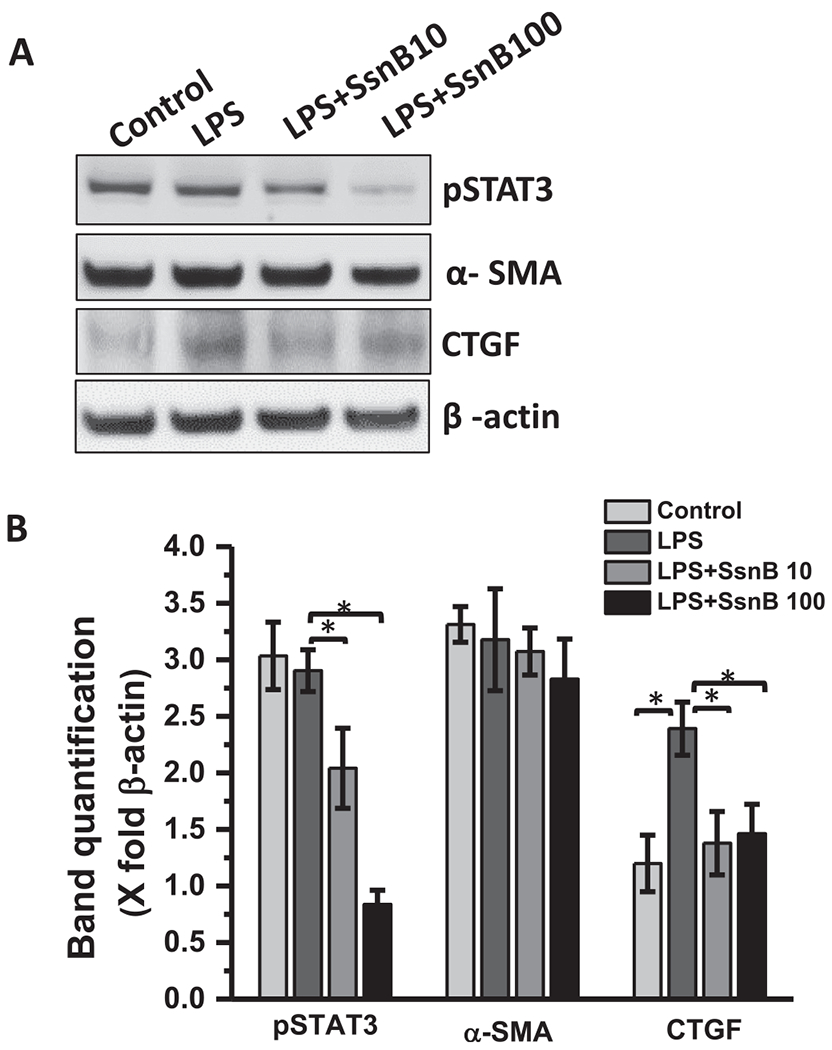 Fig. 12.