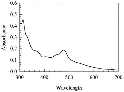 FIG. 4